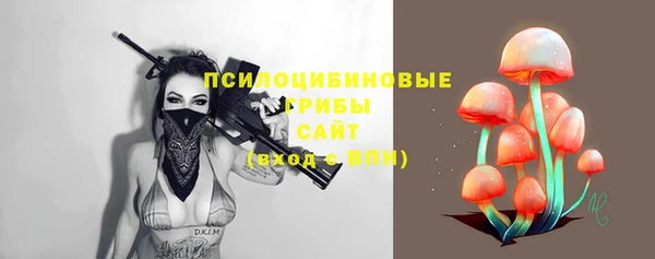 СК Верея