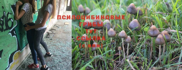 СК Верея