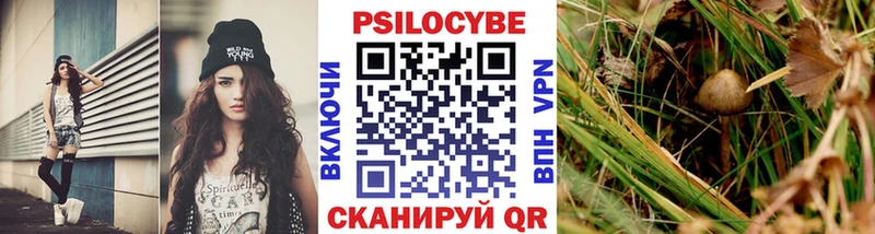 Галлюциногенные грибы мицелий  Купить  Куйбышев 